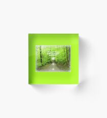 Those who Wander Acrylic Block