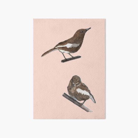 Watercolor Bird Sketches Art Board Print