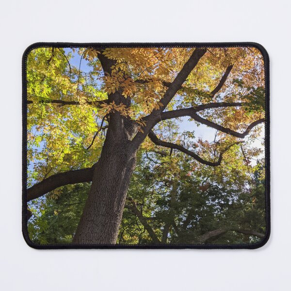 Item preview, Artistree Autumn Trees 2022 designed and sold by webgrrl.