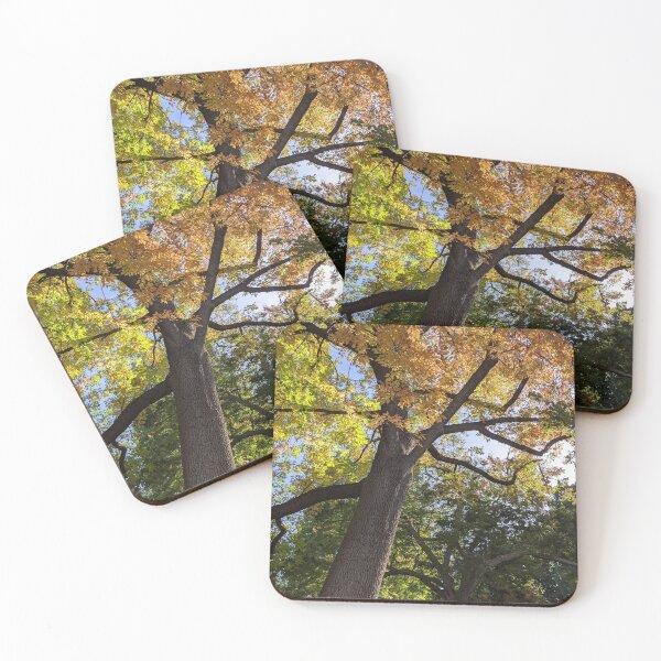 Item preview, Artistree Autumn Trees 2022 designed and sold by webgrrl.