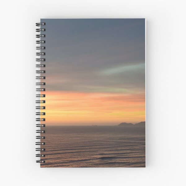 Item preview.