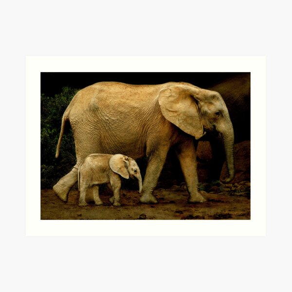 Strolling With Mom Art Print