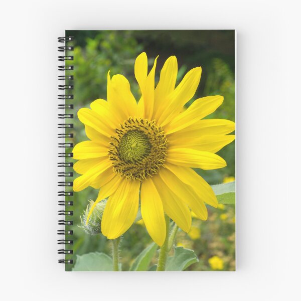 Item preview, Solo Sunflower - the Beautiful National Flower of Ukraine designed and sold by Georgia Mizuleva.