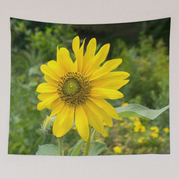 Item preview, Solo Sunflower - the Beautiful National Flower of Ukraine designed and sold by Georgia Mizuleva.