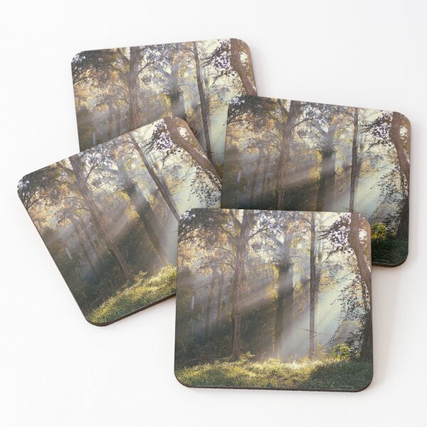 Item preview, Shafts of sunlight through the forest designed and sold by jaynerushton.