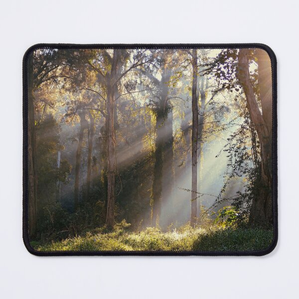 Item preview, Shafts of sunlight through the forest designed and sold by jaynerushton.