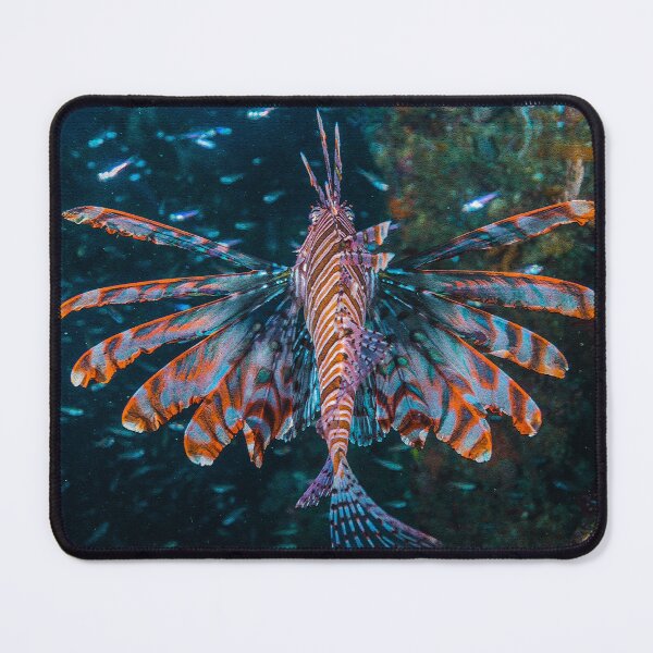 Item preview, Dancing Lionfish designed and sold by tank200bar.
