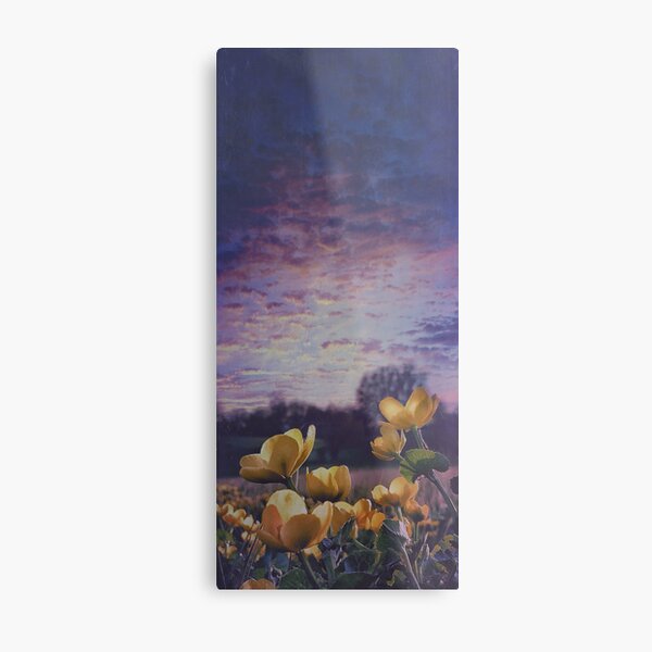 Buttercups at twilight Metal Print