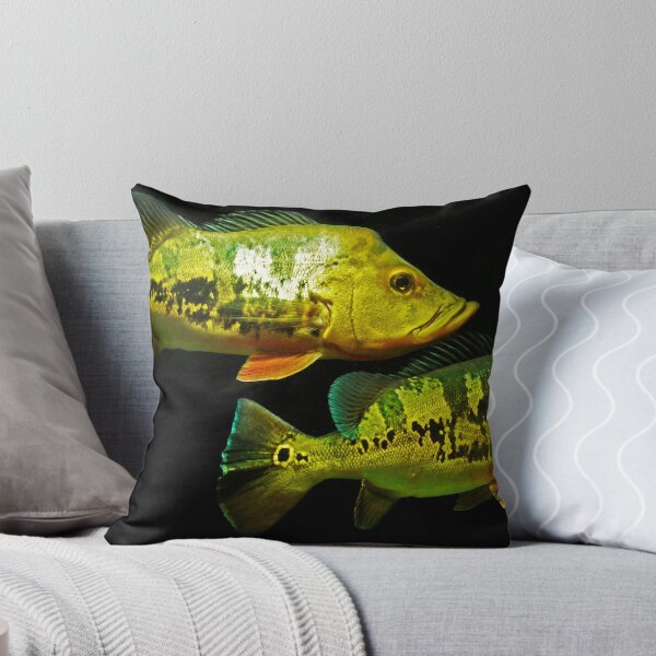 Item preview, Peacock Bass - Cichla monoculus designed and sold by bidkev1.