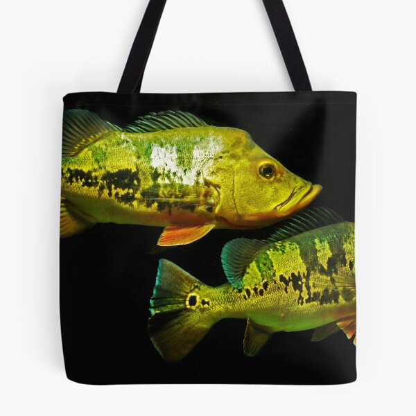 Item preview, Peacock Bass - Cichla monoculus designed and sold by bidkev1.