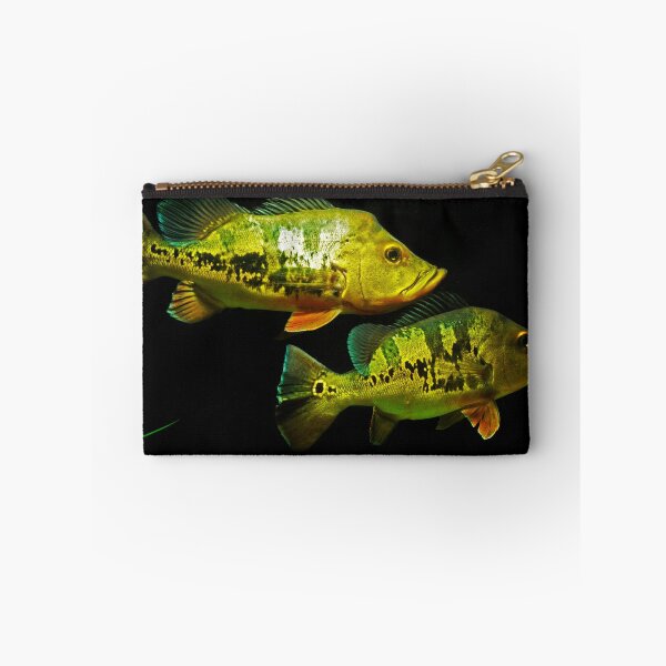 Item preview, Peacock Bass - Cichla monoculus designed and sold by bidkev1.
