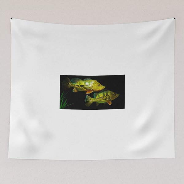 Item preview, Peacock Bass - Cichla monoculus designed and sold by bidkev1.