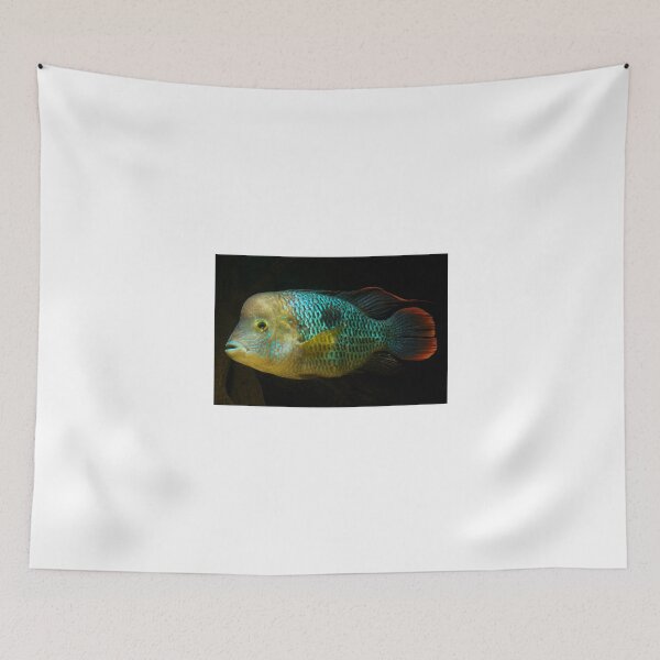 Item preview, Green Terror - Aequidens rivulatus designed and sold by bidkev1.