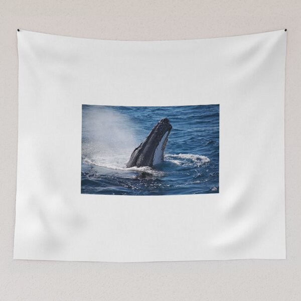 Artikelvorschau, HUMPACK WHALE AUSTRALIEN entworfen und verkauft von STEPHEN TURNER.