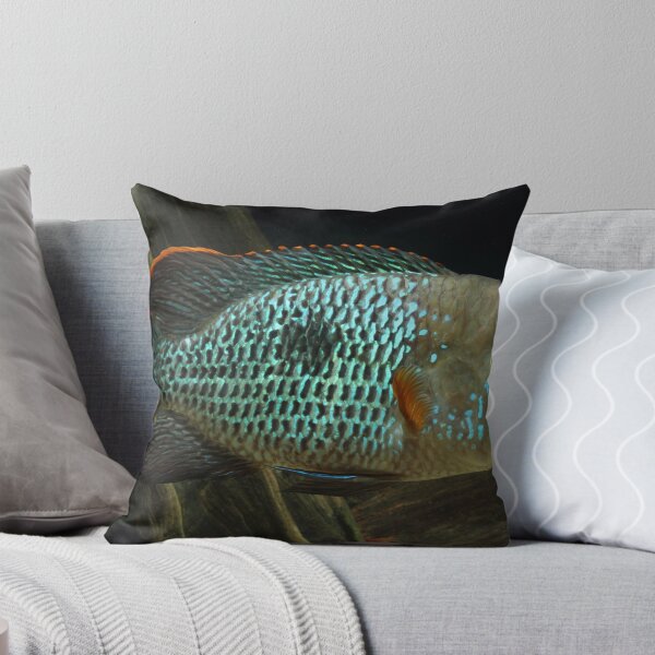 Item preview, Green Terror - Aequidens rivulatus designed and sold by bidkev1.