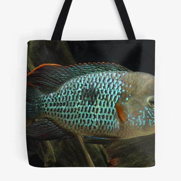 Item preview, Green Terror - Aequidens rivulatus designed and sold by bidkev1.