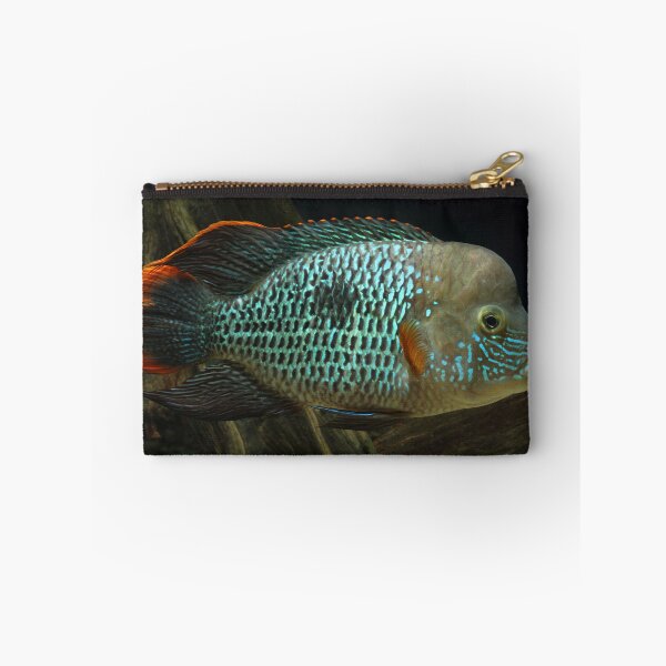 Item preview, Green Terror - Aequidens rivulatus designed and sold by bidkev1.