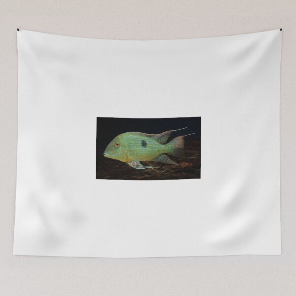 Item preview, Geophagus Surinamensis designed and sold by bidkev1.