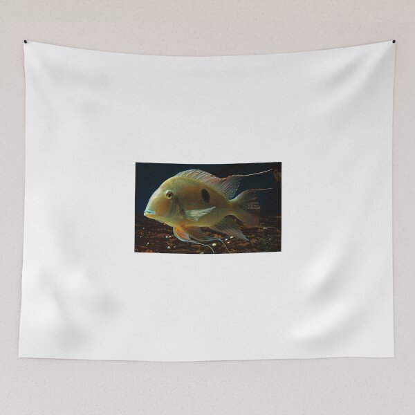 Item preview, Geophagus Surinamensis designed and sold by bidkev1.