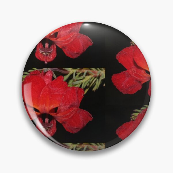 Item preview, Lechenaultia formosa designed and sold by andrachne.