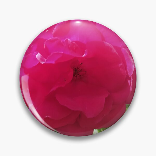 Item preview, Magenta Rose designed and sold by PressTees.