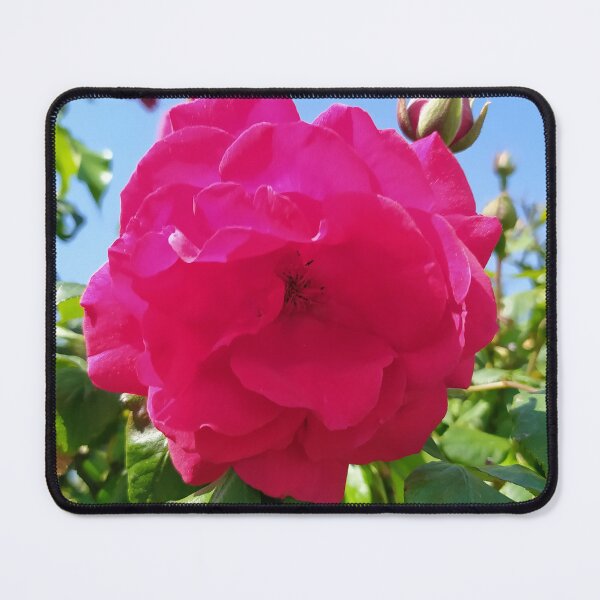Item preview, Magenta Rose designed and sold by PressTees.