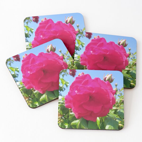Item preview, Magenta Rose designed and sold by PressTees.