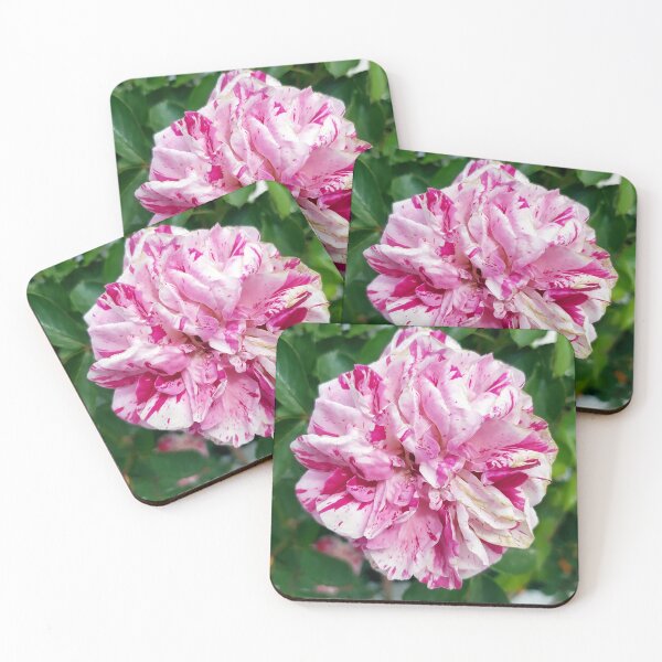 Item preview, Colorful Rose designed and sold by PressTees.