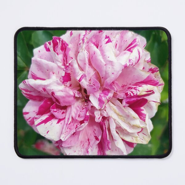 Item preview, Colorful Rose designed and sold by PressTees.