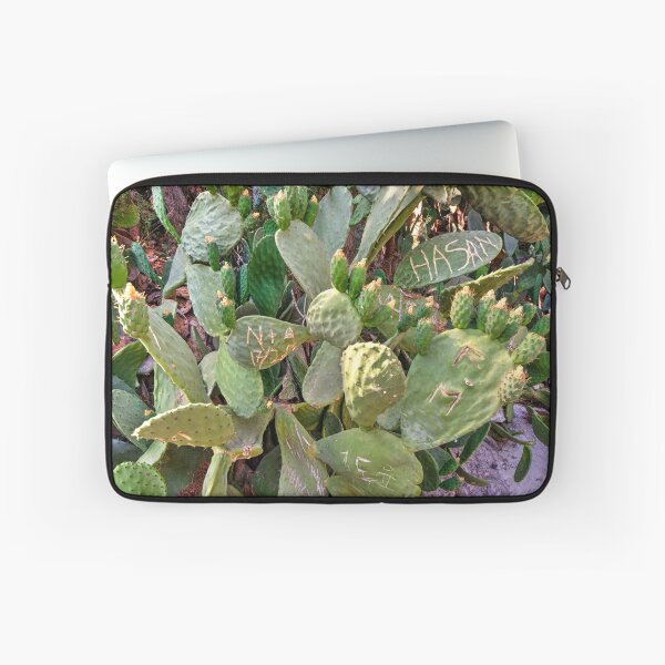 Item preview, Urban Cacti  designed and sold by hawkie.