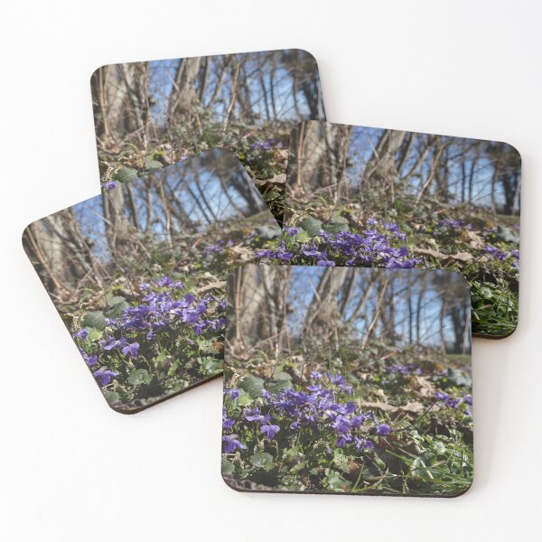 Item preview, Violets designed and sold by Calidris Fotografie Steffi & Ben Köppler.