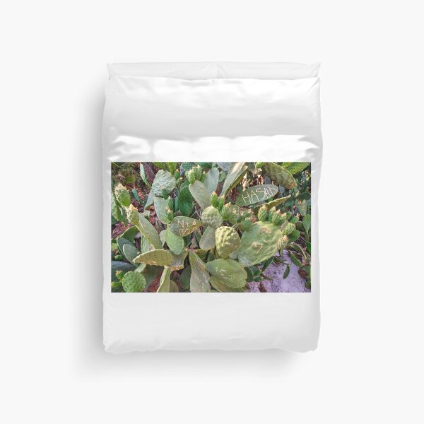 Item preview, Urban Cacti  designed and sold by hawkie.