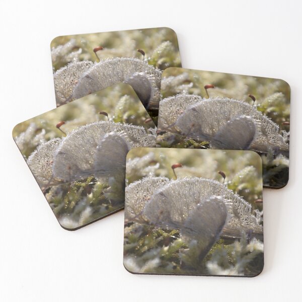 Item preview, Frozen Maple Seeds in the Morning Light designed and sold by Calidris Fotografie Steffi & Ben Köppler.