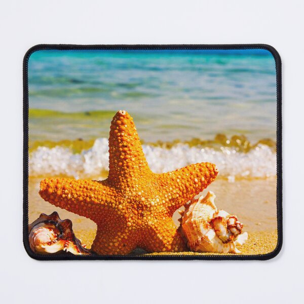 Item preview, Sea Starfish and seashell designed and sold by formylovelydog.