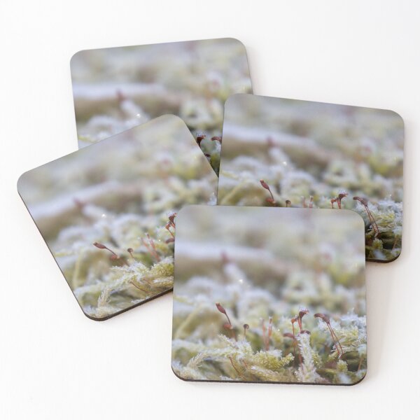 Item preview, Spore Capsules designed and sold by Calidris Fotografie Steffi & Ben Köppler.