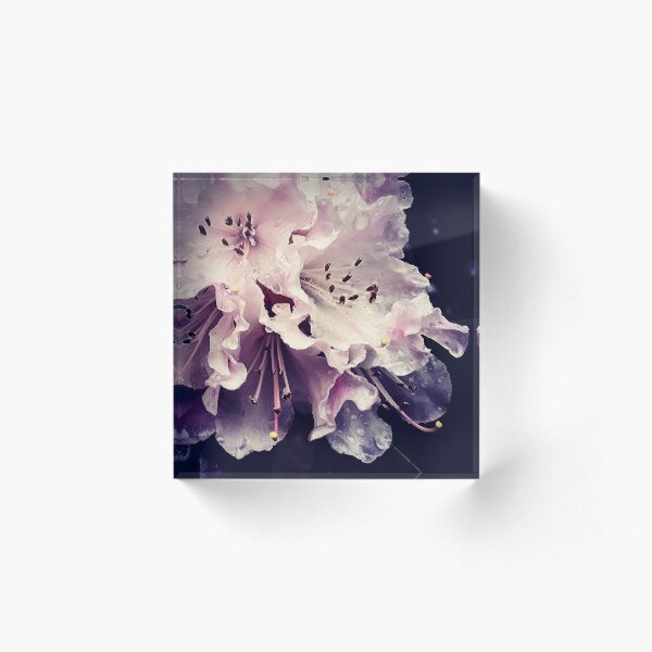 Georgia Flowers Acrylic Block