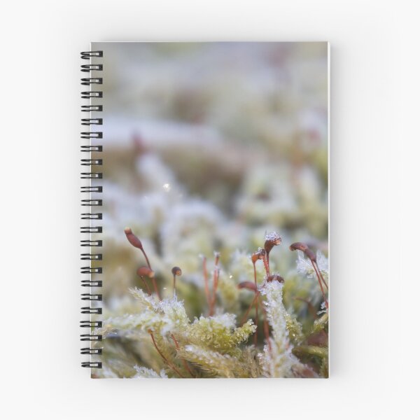 Item preview, Spore Capsules designed and sold by Calidris Fotografie Steffi & Ben Köppler.