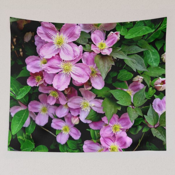 Item preview, Pink Clematis designed and sold by S-and-W-4ever.