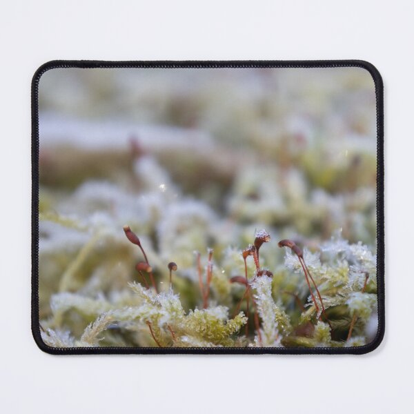 Item preview, Spore Capsules designed and sold by Calidris Fotografie Steffi & Ben Köppler.