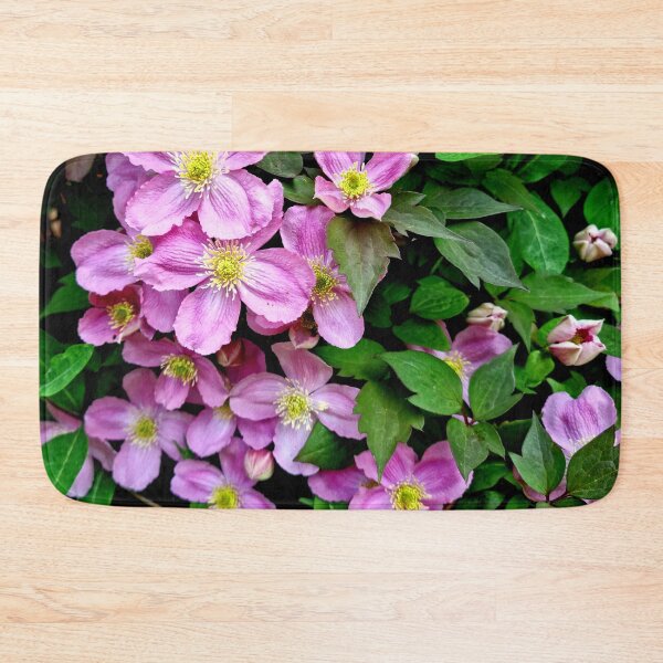 Item preview, Pink Clematis designed and sold by S-and-W-4ever.
