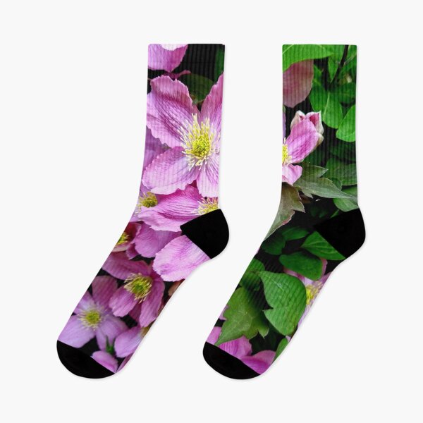 Item preview, Pink Clematis designed and sold by S-and-W-4ever.