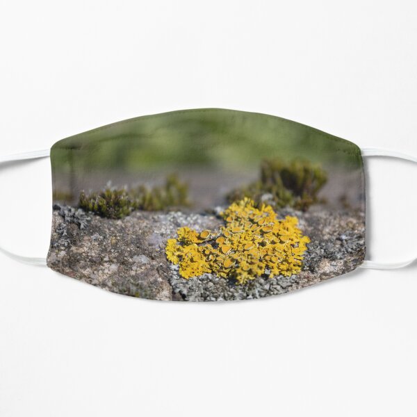 Common Orange Lichen Flat Mask