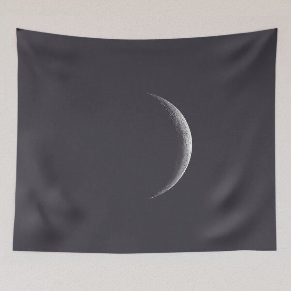 Item preview, 28 Day Moon Grey designed and sold by Shh OP.