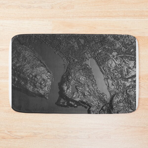 Item preview, St. Johns, Canada 3d lidar map designed and sold by erikallen920.