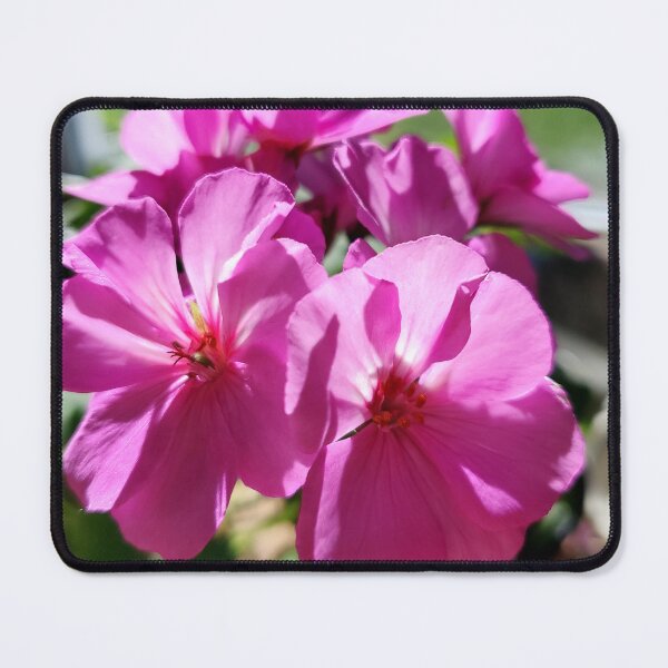 Item preview, Geranium  designed and sold by bobewing.