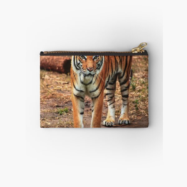 Item preview, Tiger Stare designed and sold by Chase Patton.
