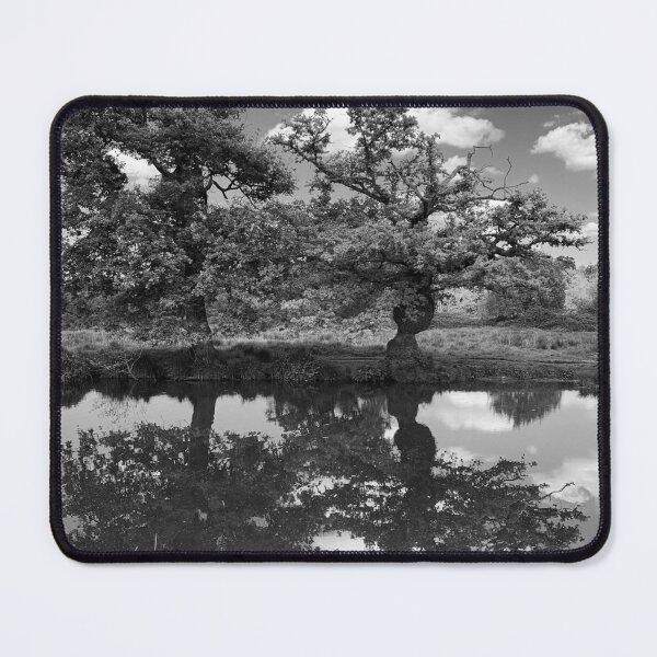 Item preview, Trees  designed and sold by veraD58.