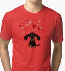 Cute Dachshund Puppy with Valentine Hearts Tri-blend T-Shirt