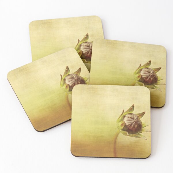 Item preview, Cosmos designed and sold by Anne Staub.