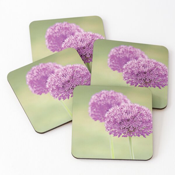 Item preview, Alliums designed and sold by Anne Staub.